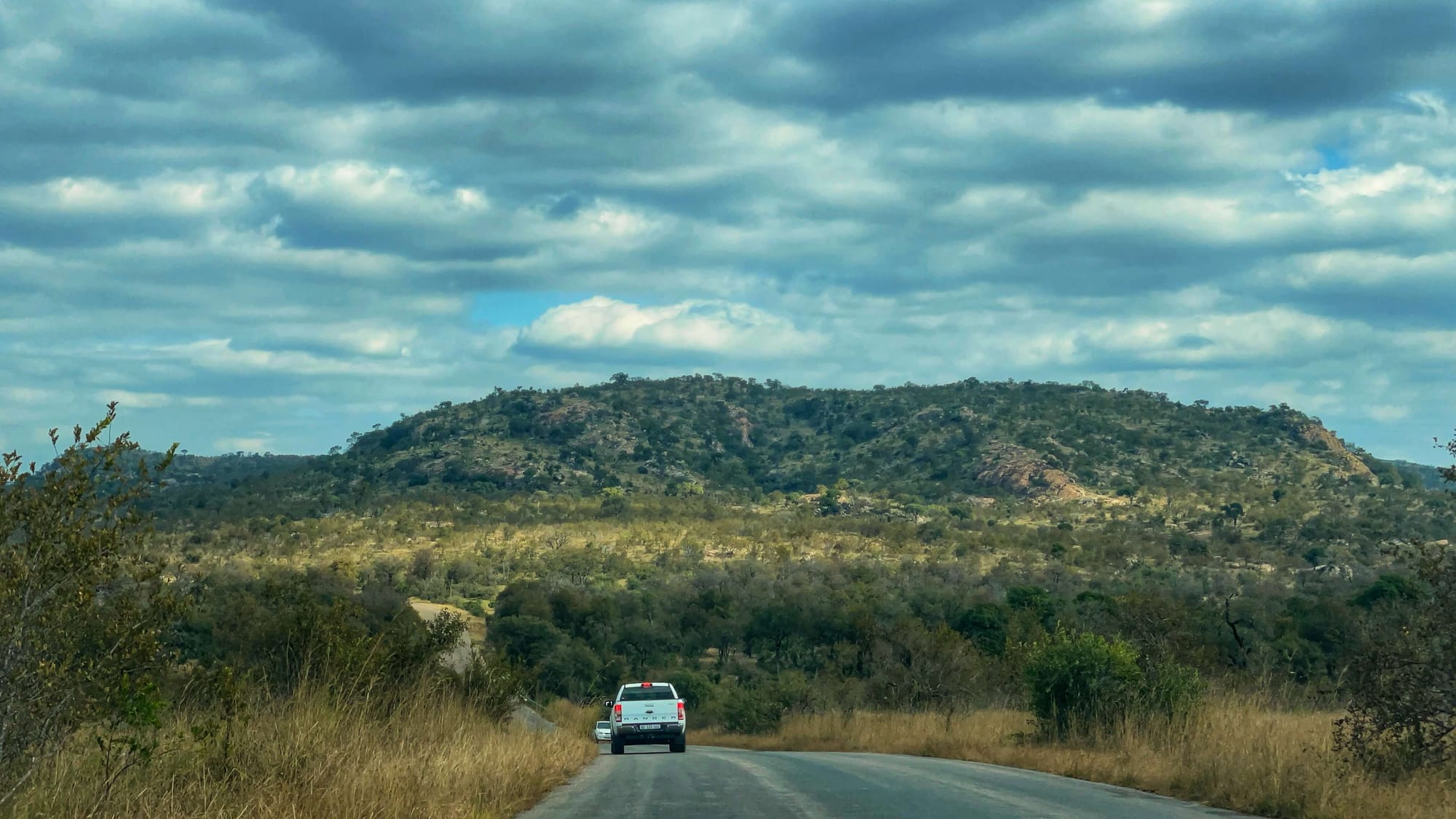 A white car on the road surrounded by the landscape of Kruger National Park. 