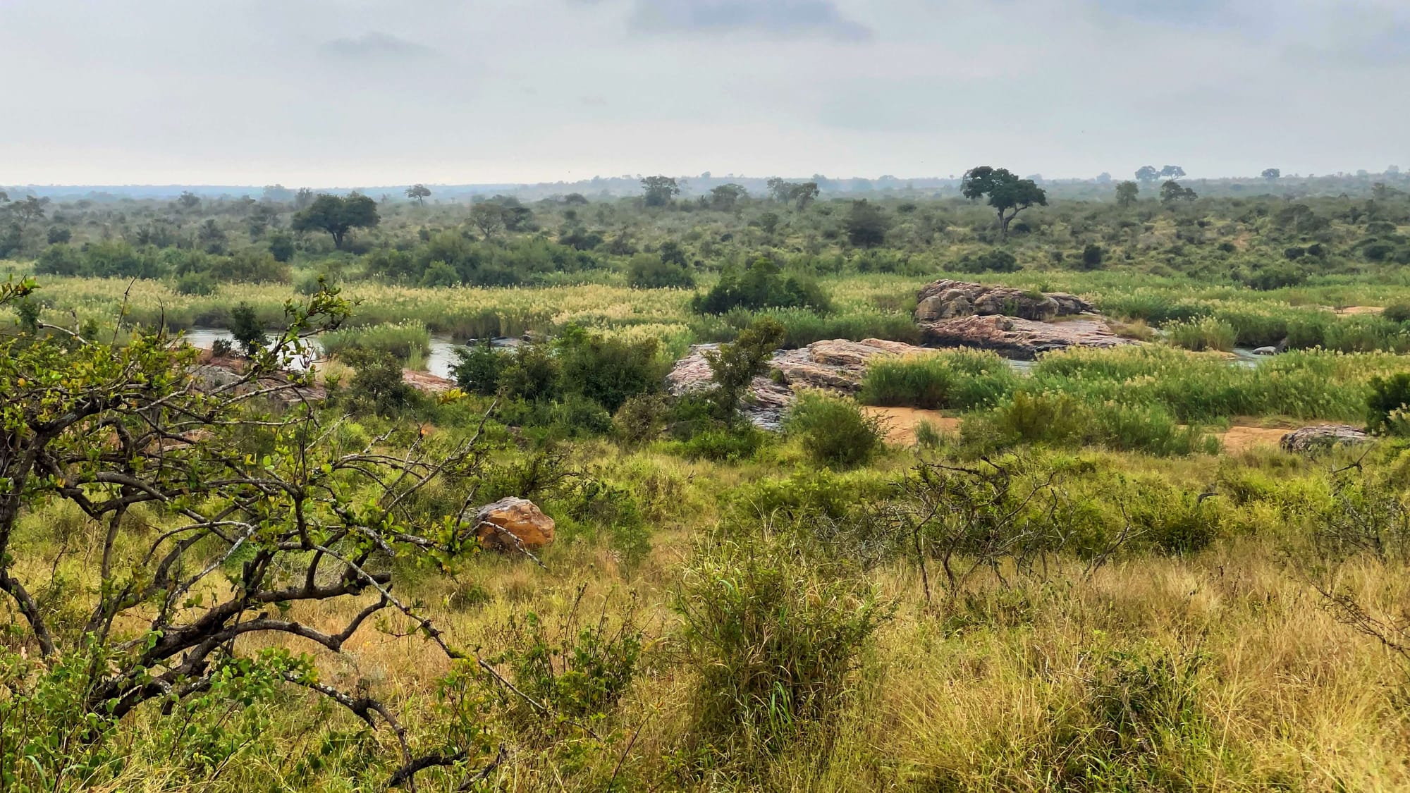 A landscape of green and yellow grasses, with big boulders along a small river. The sky is grey.