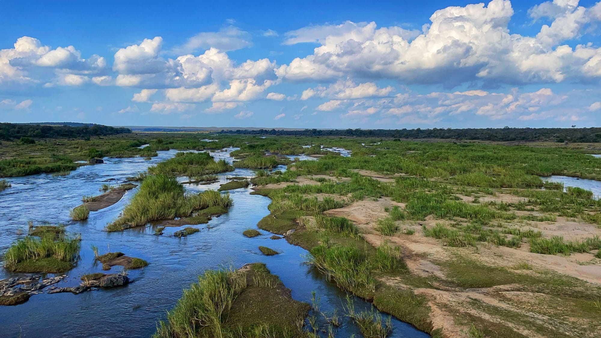 Blue water cuts through a brown and green landscape, leaving little islands of dirt and grasses in the midst.