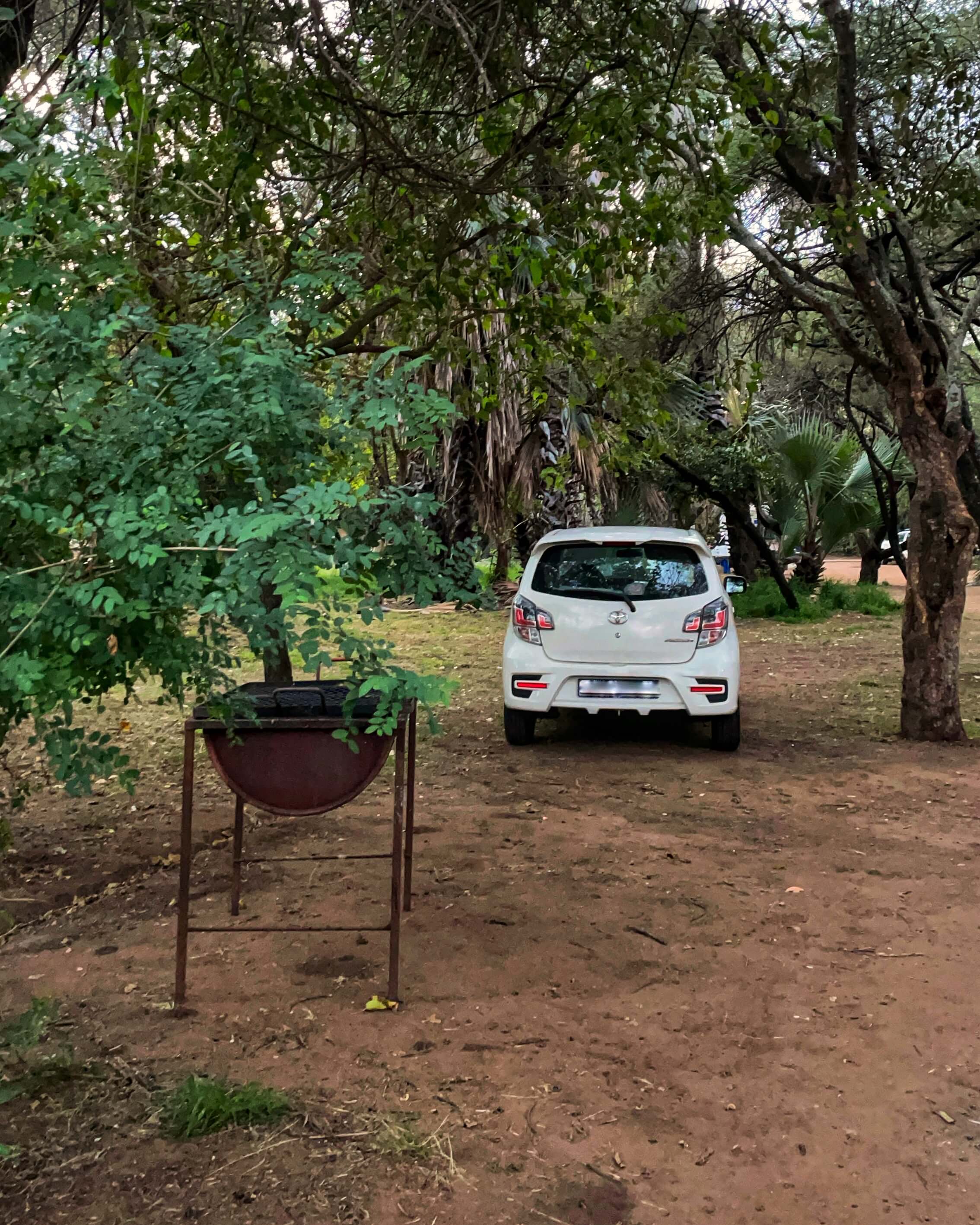 A little white car is parked under a tree at a campsite.