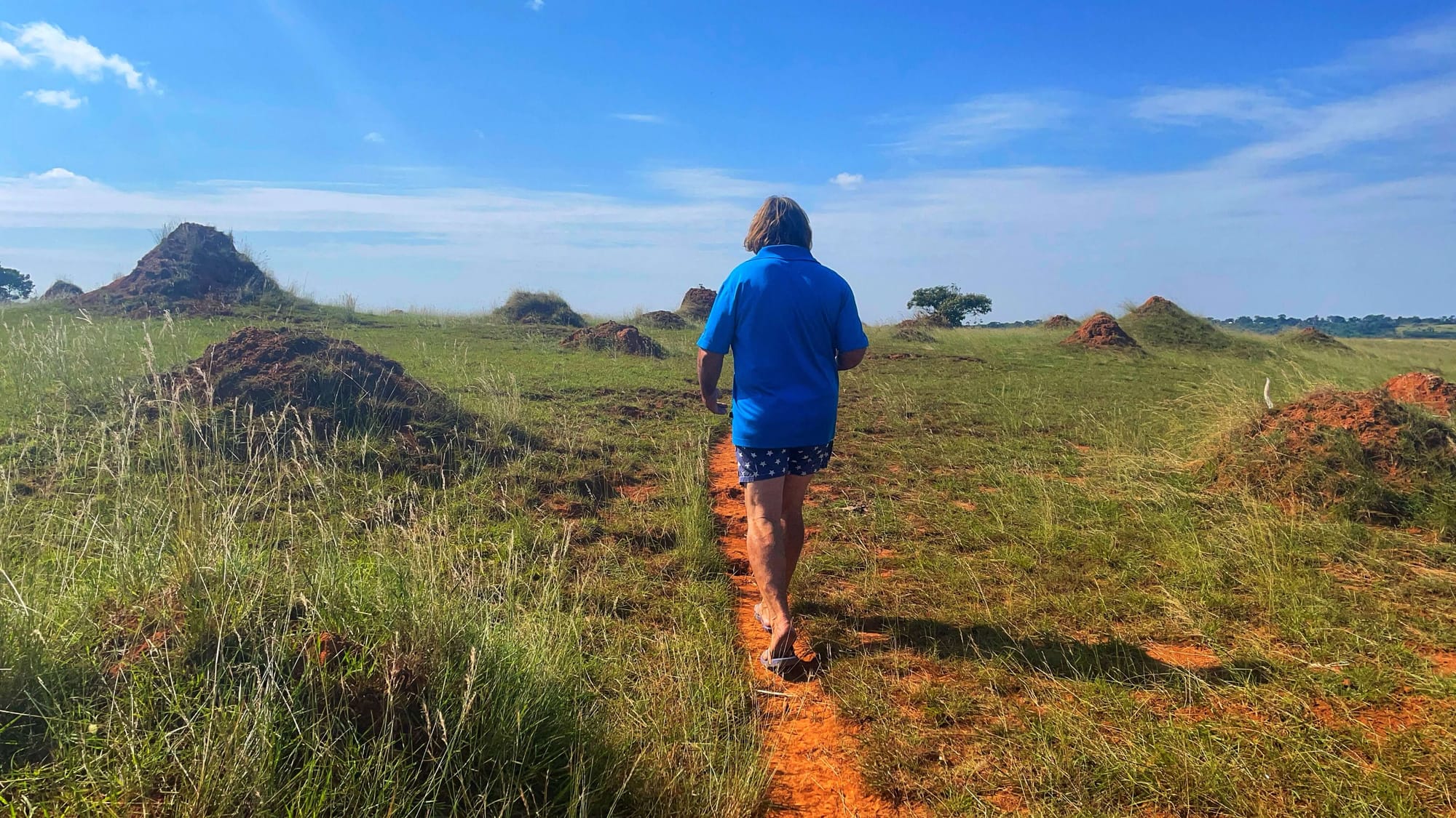 A man in a blue shirt, Andrew, walks along a thin red dirt path through a green meadow with small hills.