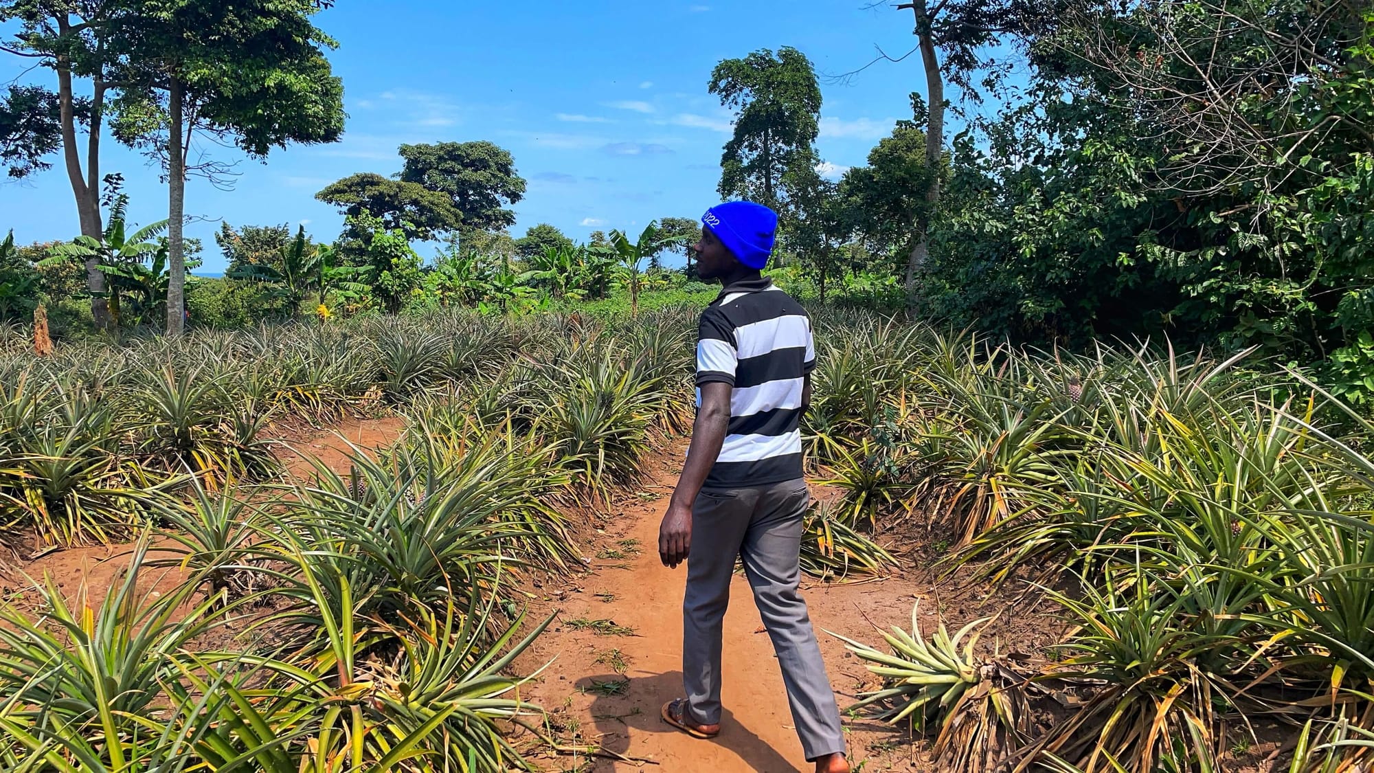 A teenage boy with a striped shirt and blue beanie walks through aloe plants, with his head turned back as if he is talking.