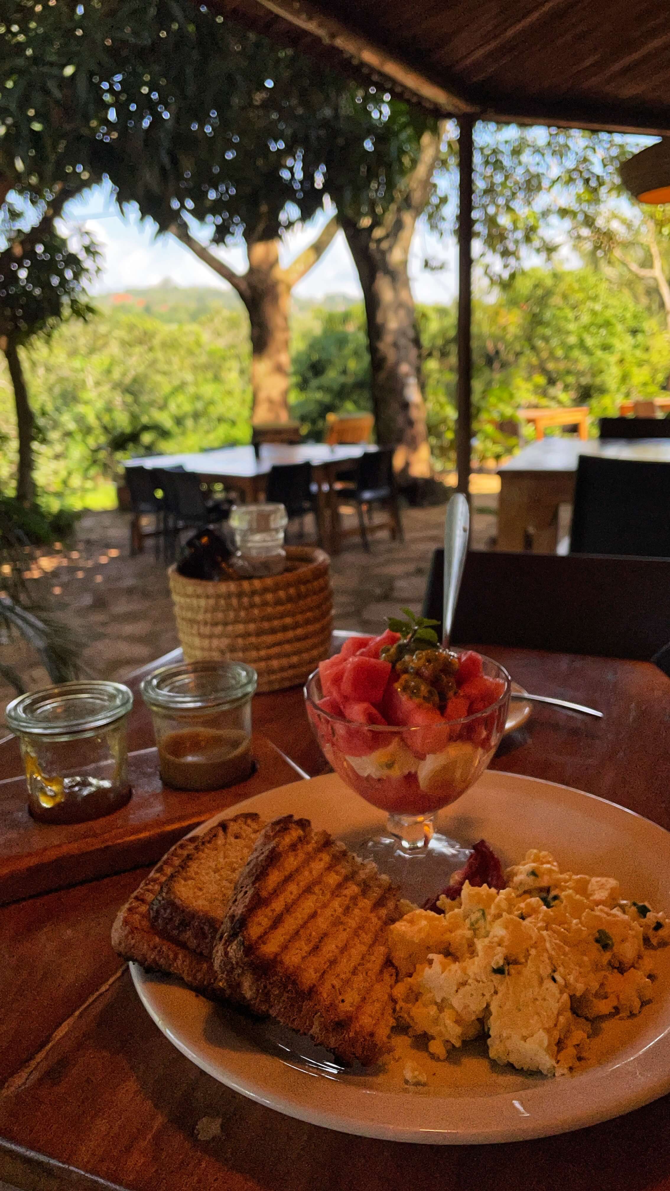 Eggs, toast, and fruit on a table with a view of the jungle in the background.