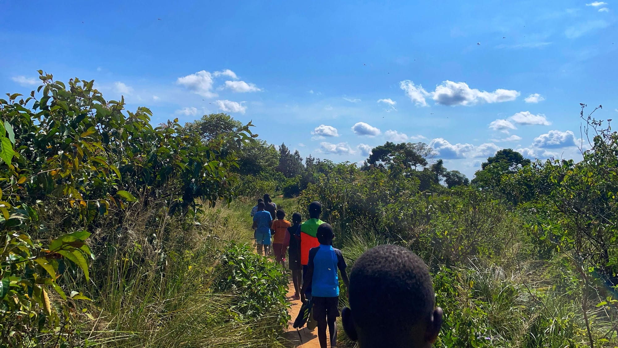 School children walk single file down a path through the green bush.