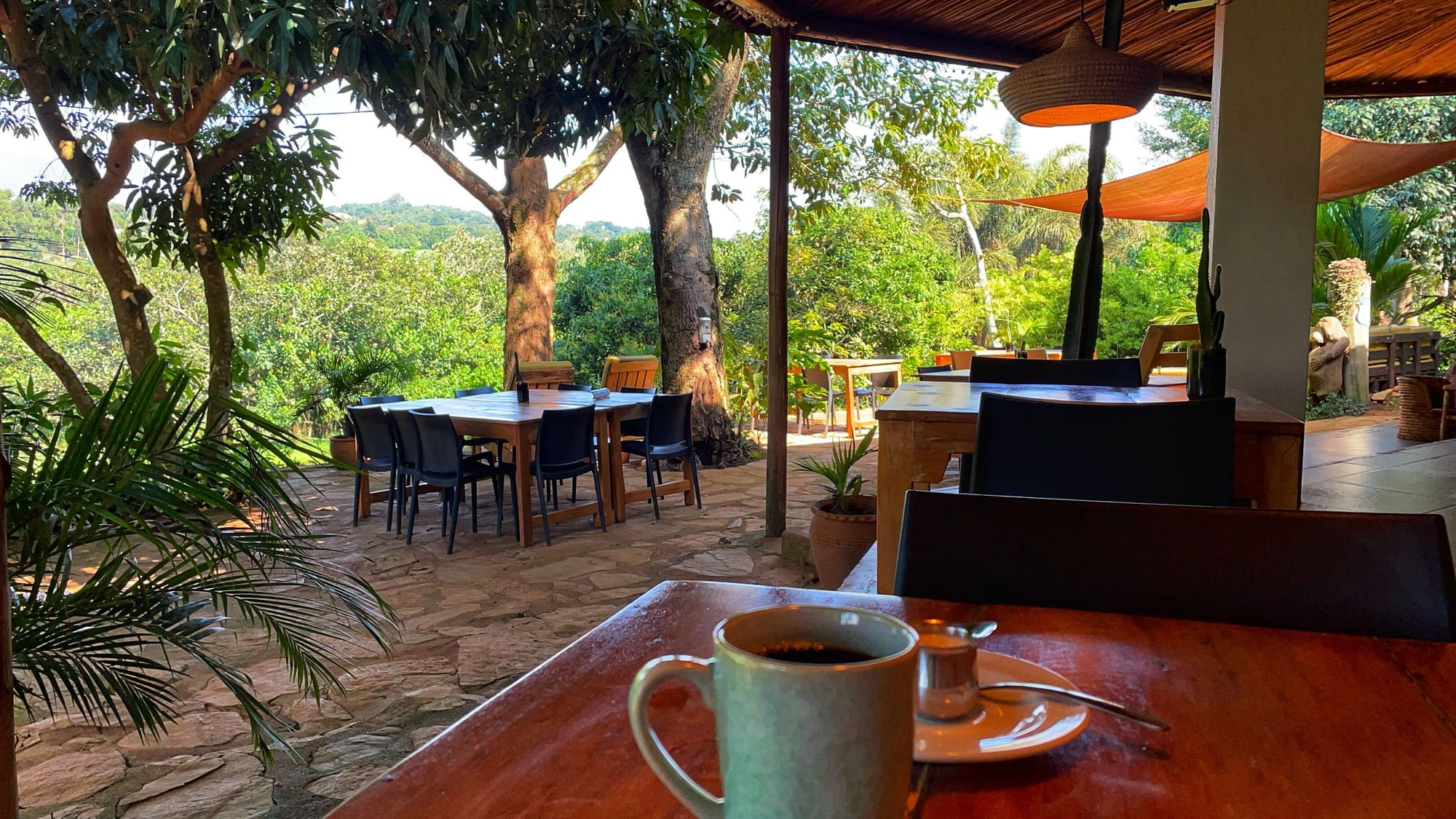 A coffee mug on a table, with a view of the jungle in the background.