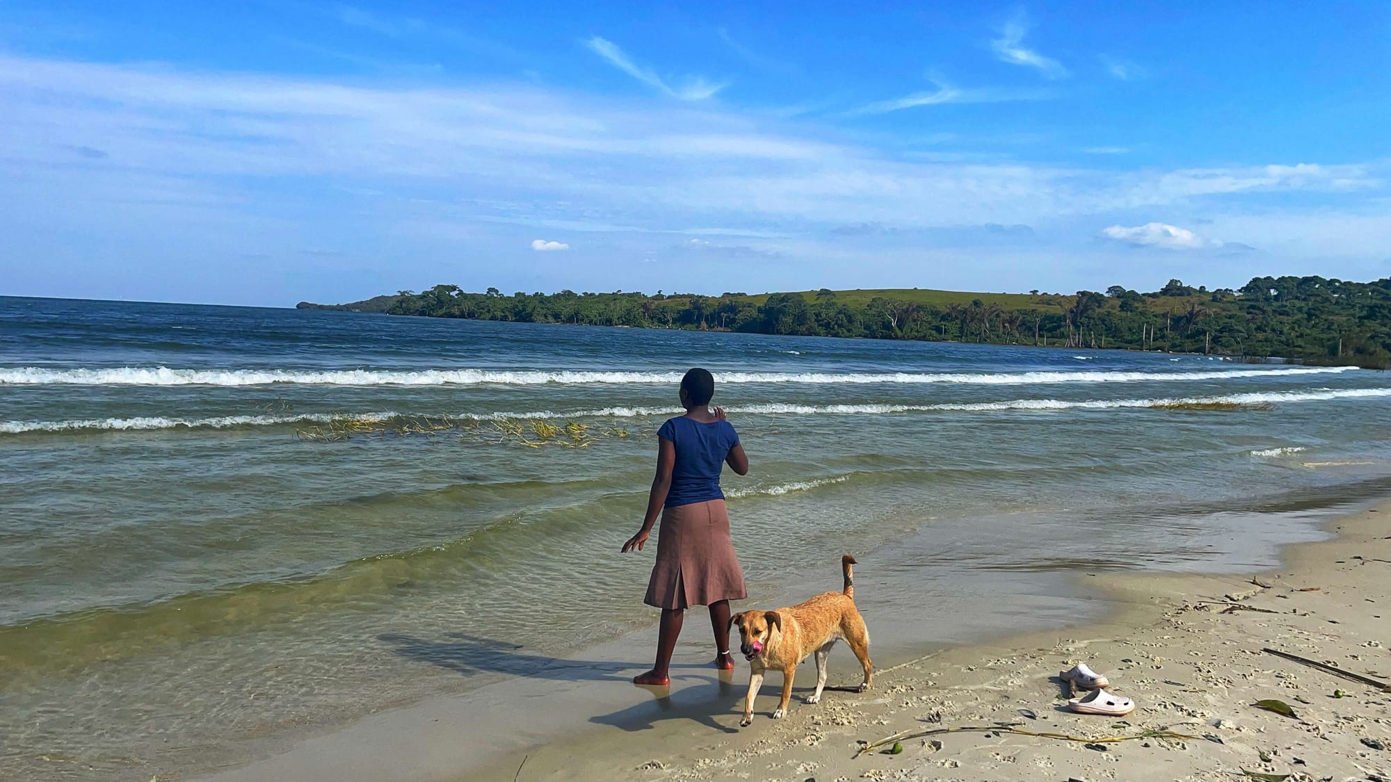 Sumi stands along the waterline with a brown dog. The sand is light brown and white.