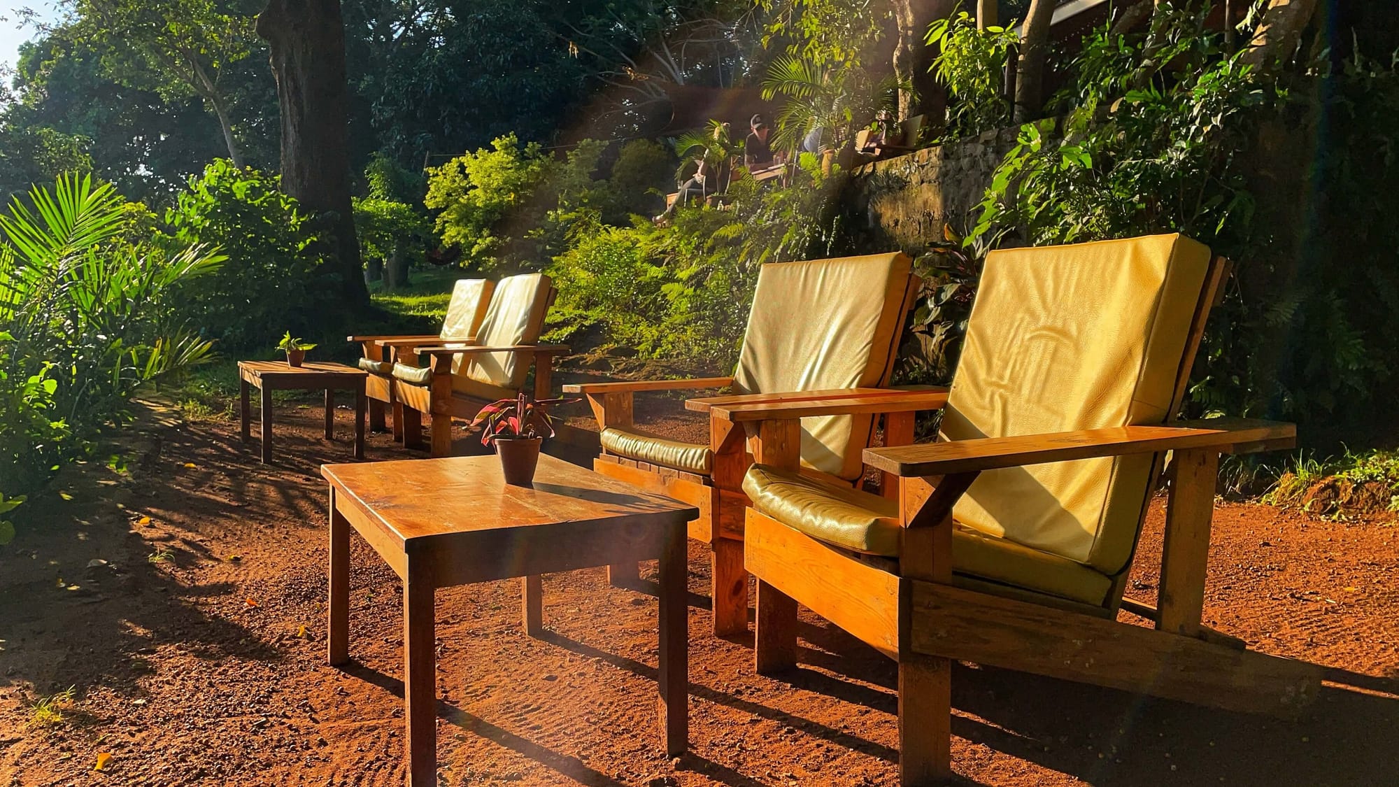 Lounge chairs face the sun, surrounded by greenery.