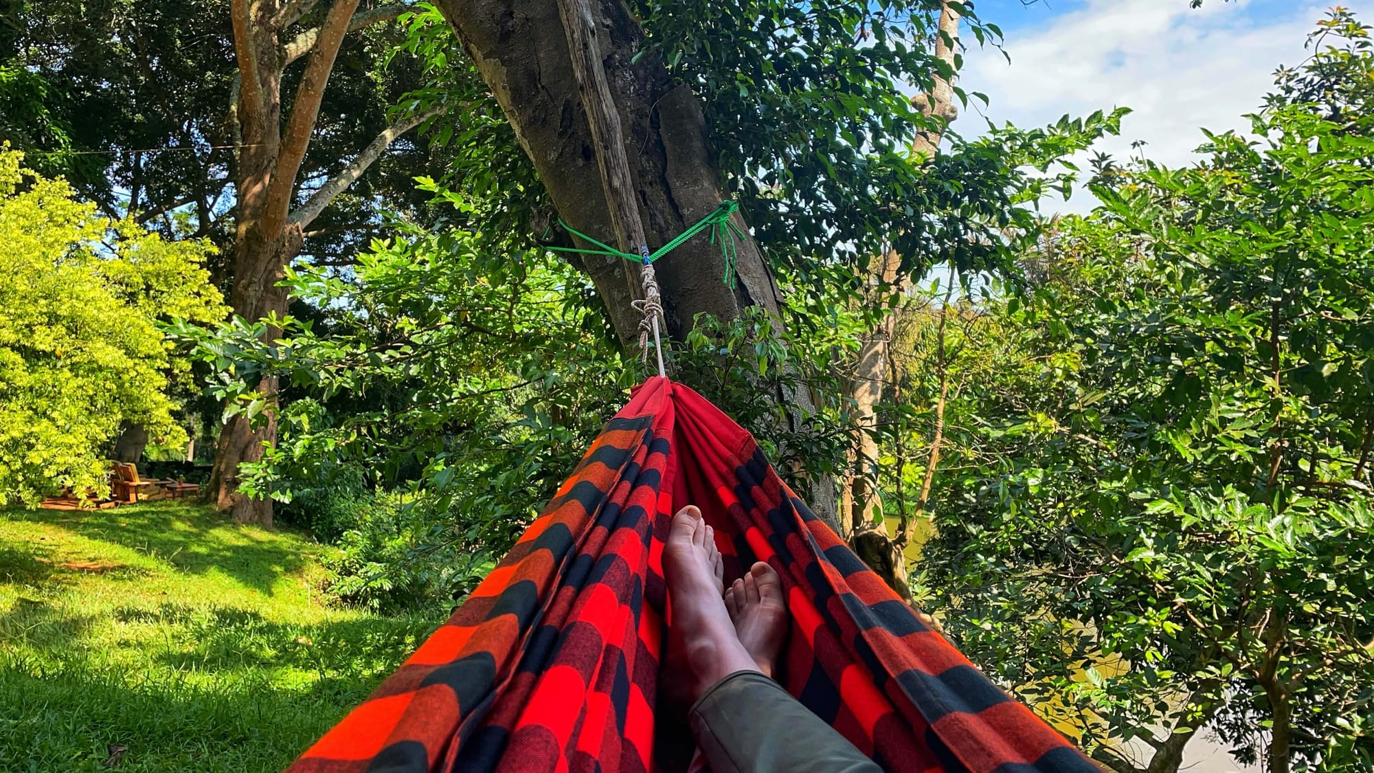 Feet in a red and black checkered hammock with jungle all around. 