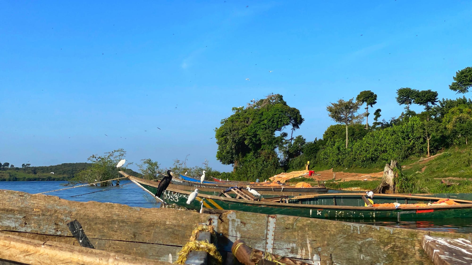 Small painted wooden boats docked along the shore, with black and white birds perched on the tips.