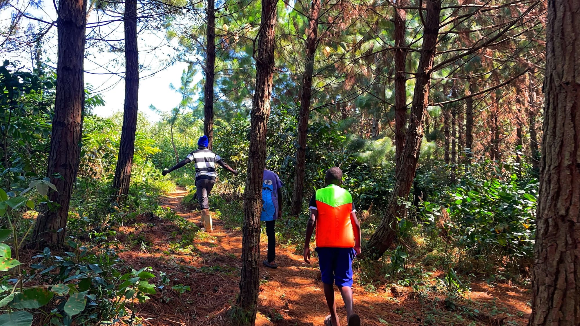 Three boys in colorful clothes walk through a wooded forest. The leader has his arms stretched wide.