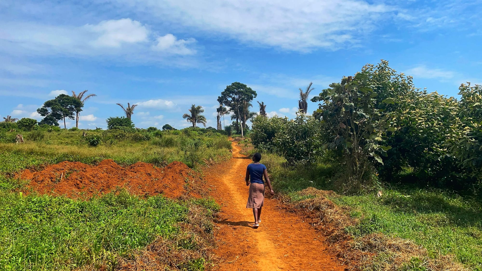 Sumi walks down a red dirt road with green grass and bushes around her. Palm trees are in the distance.