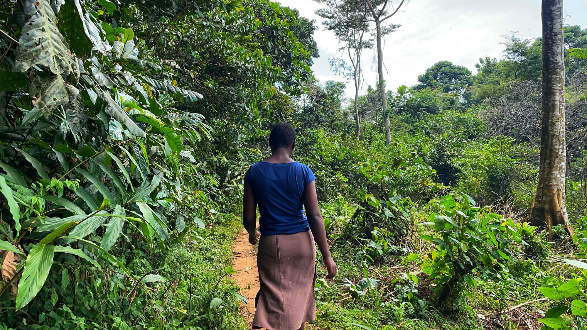 Sumi walks facing away from the camera through a lush green jungle.